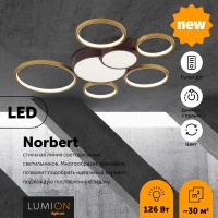 Накладной светильник LUMION 5256/99CL