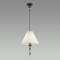 Подвесной светильник Odeon Light 4896/1
