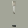 Торшер Odeon Light 4890/1F