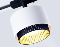 Ambrella Light GL5379