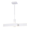Люстра на штанге Ambrella Light FA6666