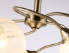 Накладная люстра Ambrella Light TR3199