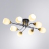 Накладная люстра ARTE Lamp A8141PL-8BK