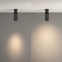 Потолочный светильник Technical C055CL-L12W4K-Z-B