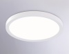 Накладной светильник Ambrella Light FZ1903