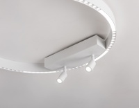 Накладной светильник Ambrella Light FL5807