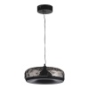 Подвесной светильник ST-Luce SL6014.403.01