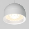 Светильник на шине Elektrostandard 85126/01