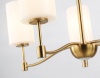 Подвесная люстра Ambrella Light LH56051