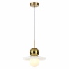 Подвесной светильник Odeon Light 5014/1B