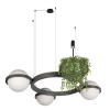 Подвесной светильник LOFT IT 10121/3 Dark grey
