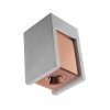 Накладной светильник LOFT IT OL1073-GG