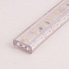 Лента Elektrostandard LS011 220V