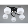 Накладная люстра Omnilux OML-25407-05
