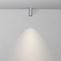 Потолочный светильник Technical C056CL-L12W4K-W-PT