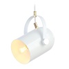 Подвесной светильник Ambrella Light TR8205