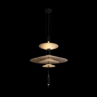 Подвесной светильник LOFT IT 10244/C Black