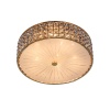 Накладной светильник Citilux CL324152