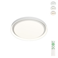 Накладной светильник Denkirs DK6515-WH