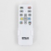 Накладной светильник Citilux CL724105G1