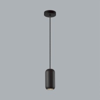 Подвесной светильник Odeon Light 5060/1B