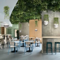 Подвесной светильник LOFT IT 10121/2P Dark grey