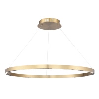 Подвесной светильник ST-Luce SL6238.343.01