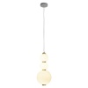 Подвесная люстра LOFT IT 10205/D