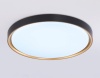 Накладной светильник Ambrella Light FZ1249