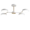 Люстра на штанге LUMION 5652/72CL