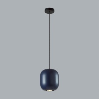 Подвесной светильник Odeon Light 5060/1CA