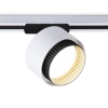 Ambrella Light GL5379
