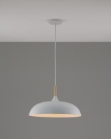 Подвесной светильник Moderli V1330-P