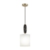 Подвесной светильник Odeon Light 5424/1