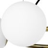 Подвесная люстра Lightstar 815051