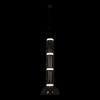 Подвесная люстра LOFT IT 10192/L