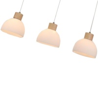 Подвесной светильник ARTE Lamp A4184SP-3BR