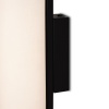 Настенный светильник (бра) Freya FR5625WL-L10B