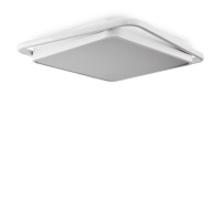 Потолочный светильник Freya FR10030CL-L88W