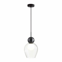 Подвесной светильник Odeon Light 5023/1