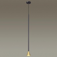 Подвесной светильник Odeon Light 3884/1GB