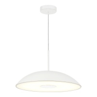 Подвесной светильник ST-Luce SL6128.503.01