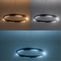 Подвесной светильник ARTE Lamp A2189LM-1BK