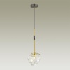 Подвесной светильник Odeon Light 4789/1