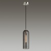 Подвесной светильник Odeon Light 4805/1