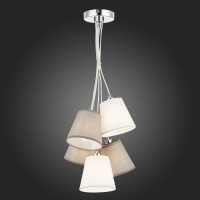 Подвесная люстра Evoluce SLE300403-05
