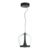 Подвесной светильник ST-Luce SL6014.423.01