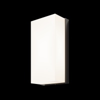 Настенный светильник (бра) Outdoor O454WL-L10GF3K