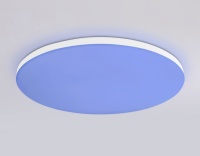 Накладной светильник Ambrella Light FZ2002