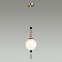 Подвесной светильник Odeon Light 5405/1